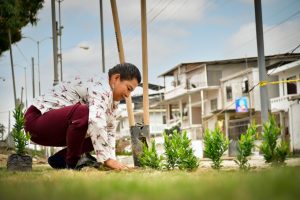 Seguimos recuperando áreas verdes con la transformación del parque Los Choferes