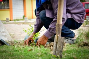 Seguimos recuperando áreas verdes con la transformación del parque Los Choferes