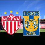 Necaxa vs Tigres