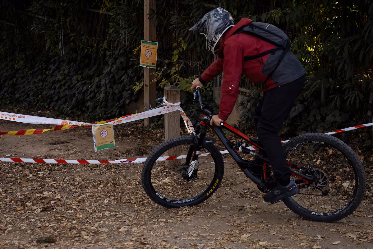 La UME se desplegará el lunes en Cataluña para ayudar a controlar el brote de peste porcina africana en Collserola EL PAÍS