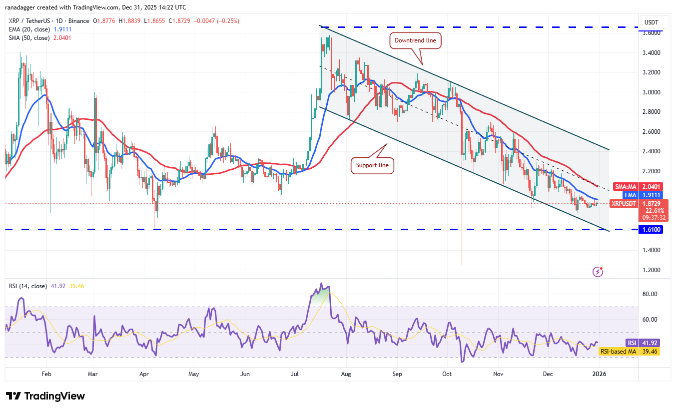 Predicciones de precios al 31/12: BTC, ETH, BNB, XRP, SOL, DOGE, ADA, BCH, LINK, HYPE Predicciones de precios al 31/12: BTC, ETH, BNB, XRP, SOL, DOGE, ADA, BCH, LINK, HYPE
