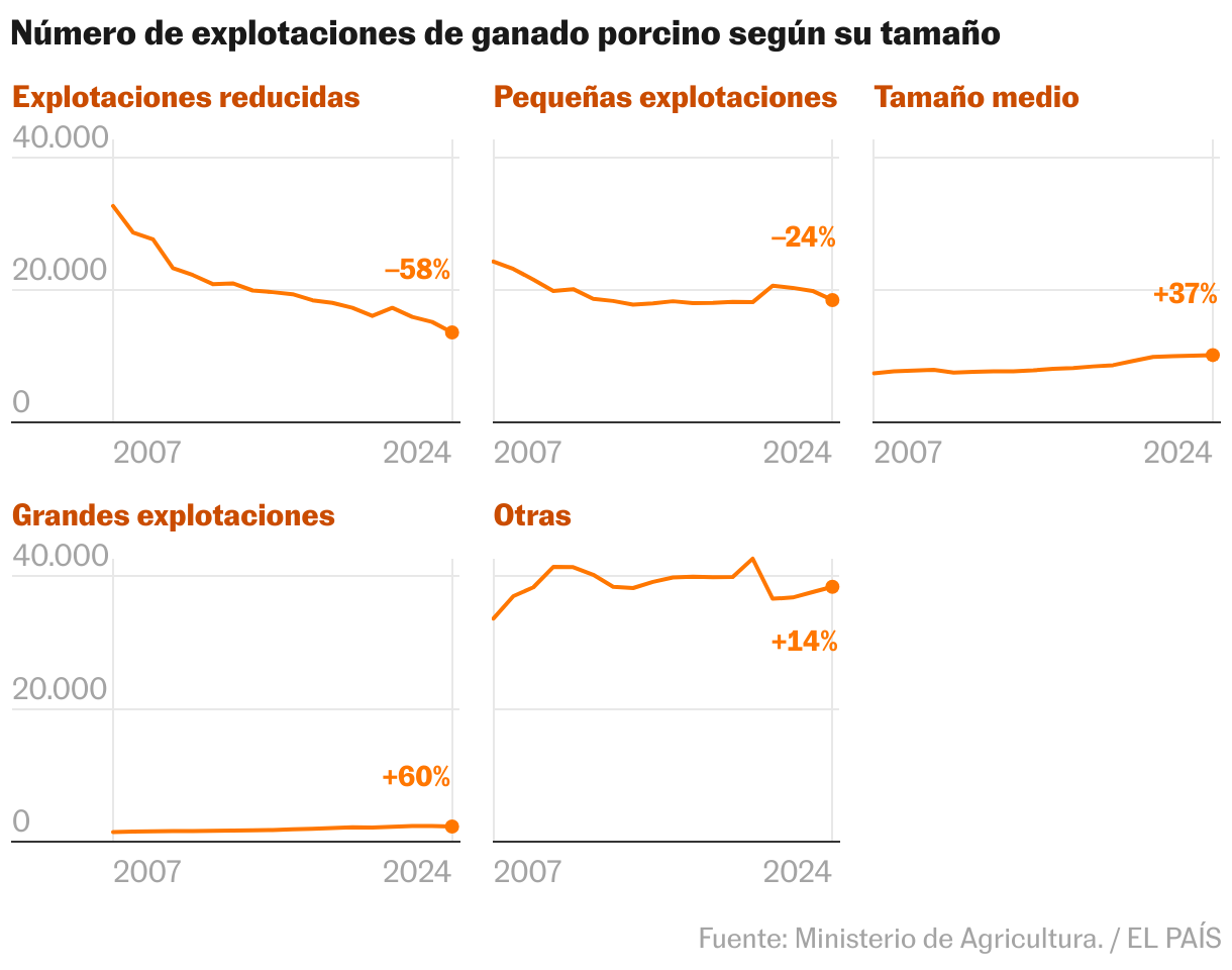 España, potencia mundial del porcino en 11 gráficos: un sector en peligro por la peste porcina africana Líneas múltiples