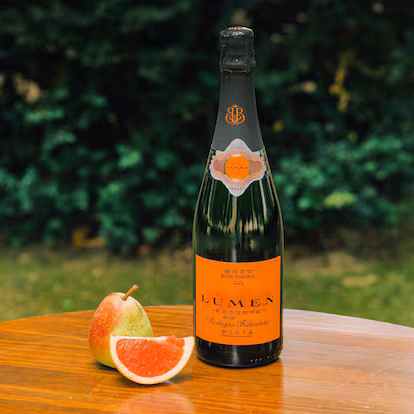 Doce cavas y vinos espumosos para cada momento de la Navidad Doce cavas y vinos espumosos para cada momento de la Navidad
