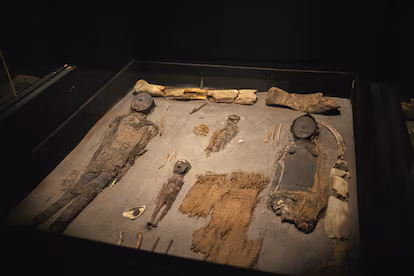 Un estudio científico redefine a las Momias Chinchorro como obras de arte funerario Un estudio científico redefine a las Momias Chinchorro como obras de arte funerario