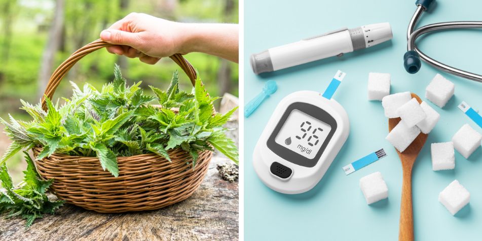 ¿Para qué sirve la ortiga? Propiedades y beneficios de la planta de la 'eterna juventud' La diabetes afecta a millones de personas en el mundo.