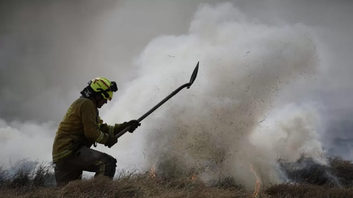 Incendios forestales emiten más contaminantes de lo estimado y agravan la contaminación del aire, revela estudio Incendios forestales emiten más contaminantes de lo estimado y agravan la contaminación del aire, revela estudio
