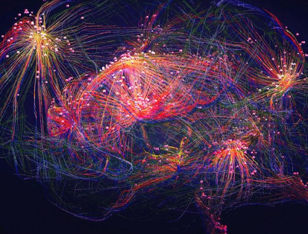 Un golpe en la cabeza con un balón puede dañar el cerebro y aumentar el riesgo de Alzheimer, según estudio cerebro