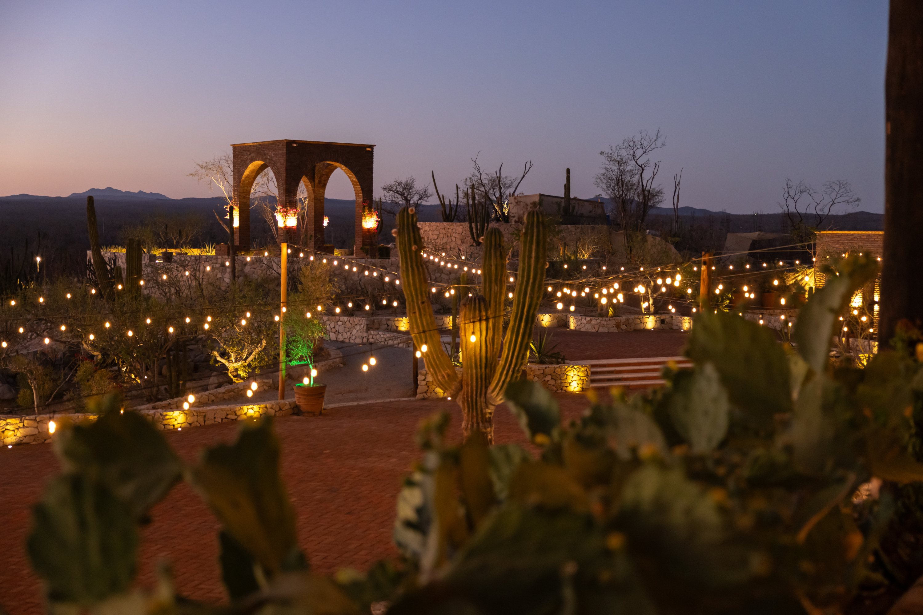 Con huertas urbanas, botánica y el mínimo desperdicio: así se cocina en Oda, el restaurante más sostenible de Latinoamérica, que queda en Bogotá Los Cabos