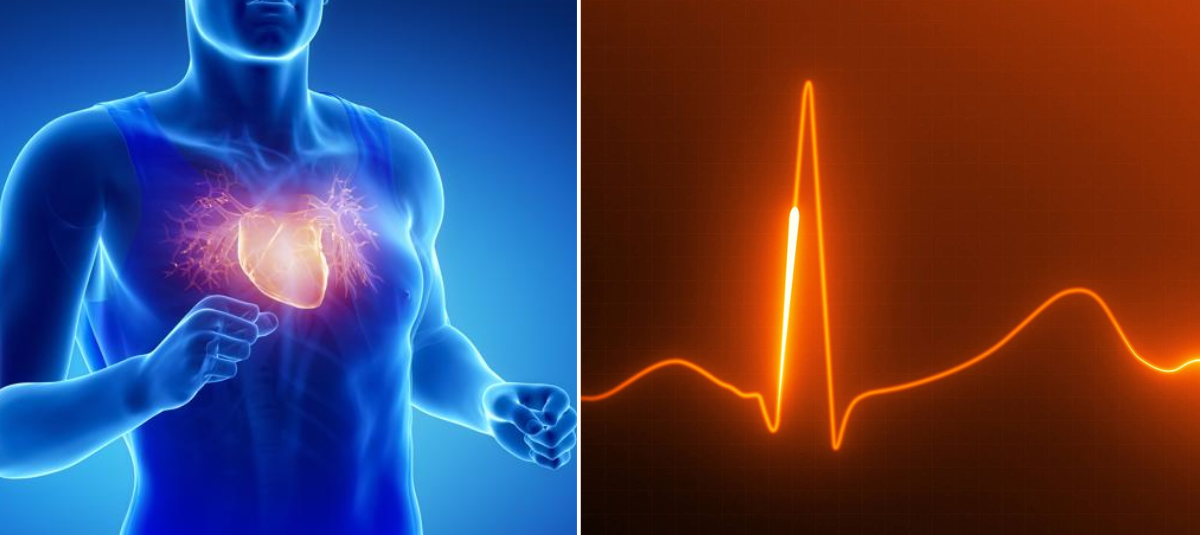 El nervio olvidado que rejuvenece el corazón: la clave oculta para una salud cardíaca duradera, según estudio Cinco síntomas a los que le debe prestar atención: avisan sobre posibles problemas del corazón y muchos los pasan por alto