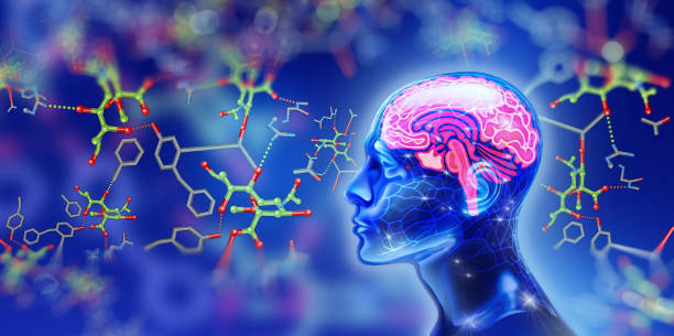 Seis hábitos diarios para retrasar el envejecimiento, según un experto de Harvard Cerebro