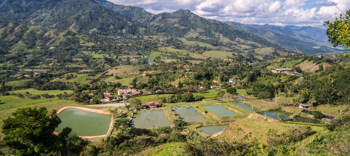 El pueblo a 54 minutos de Bogotá que tiene la mejor cuajada con melao: estas son las tres mejores rutas para llegar a Zipaquirá Barbosa, Antioquia.