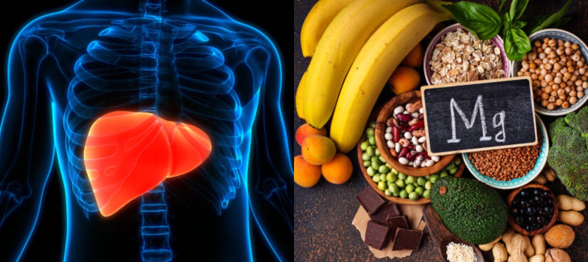 Esto es lo que debe tomar antes de dormir para limpiar el hígado graso de manera natural y efectiva Salud hepática