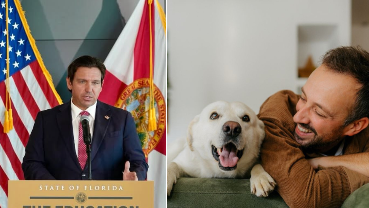 'Adopta un leoncito': la campaña de Fortaleza CEIF en el encuentro con Santa Fe que conmovió a los hinchas Ley de Ron DeSantis