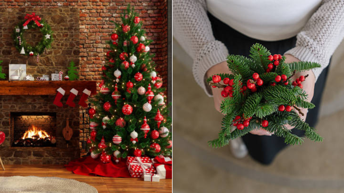 Regalos económicos para Navidad: los juguetes de D1 que cuestan menos de $80.000 Navidad