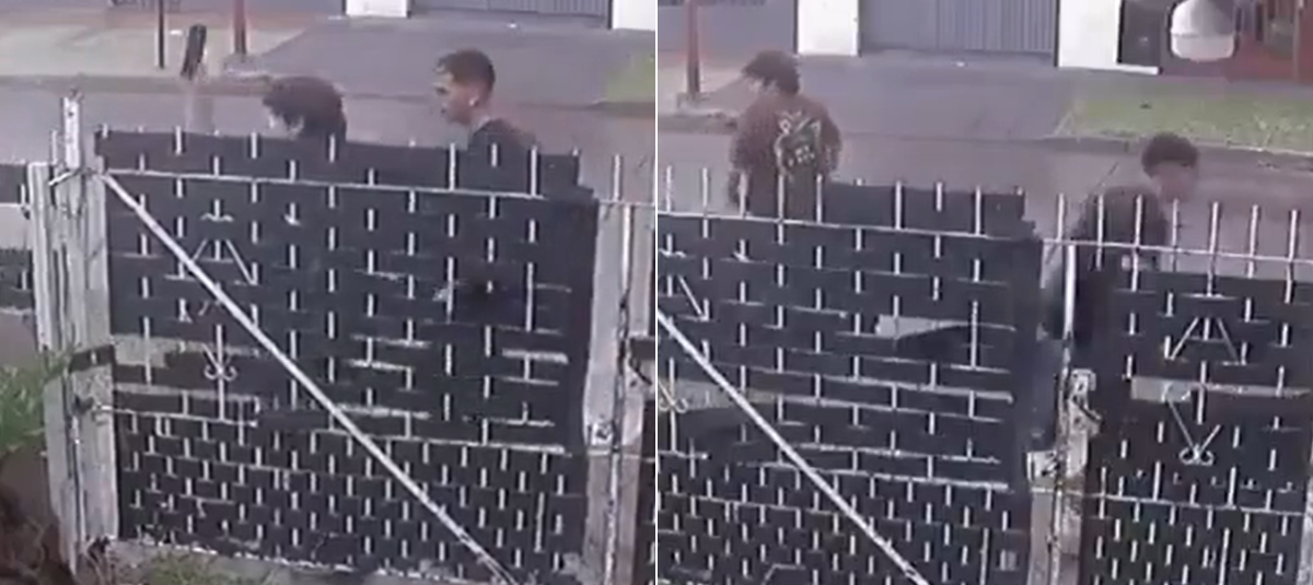 Video muestra el momento en que un tigre escapa del ataque de un cocodrilo en una reserva natural de la India Robo