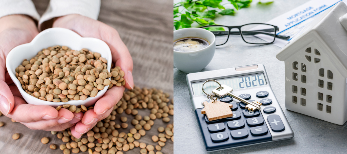 Cómo hacer un video con Sora para felicitar a sus amigos en Año Nuevo: pasos 2026