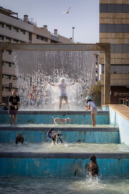 El año 2025, en imágenes El año 2025, en imágenes