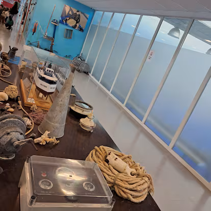 La didáctica lonja de Punta Umbría que divulga sobre las artes de pesca y enseña cómo es una subasta La didáctica lonja de Punta Umbría que divulga sobre las artes de pesca y enseña cómo es una subasta