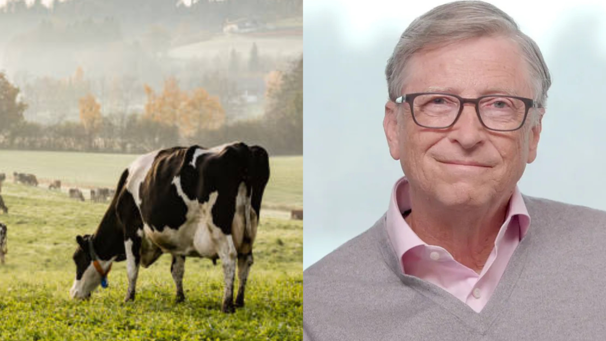 Bill Gates propone pasar de la producción cárnica tradicional a la artificial y vegetal Bill Gates propone pasar de la producción cárnica tradicional a la artificial y vegetal