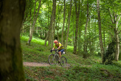 De Vitoria a Vitoria en bici: un viaje de casi 900 kilómetros y conversaciones entre paisajes inolvidables De Vitoria a Vitoria en bici: un viaje de casi 900 kilómetros y conversaciones entre paisajes inolvidables