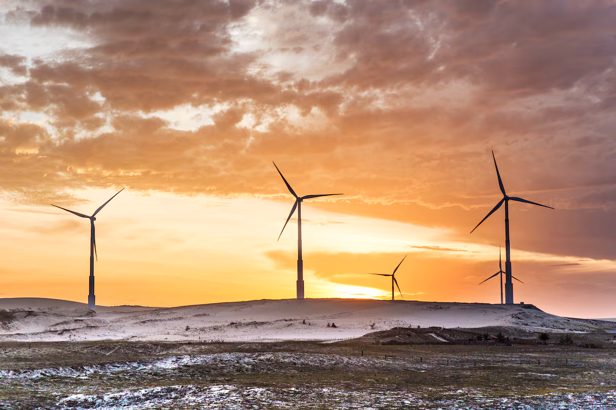 CAF aprueba 3.175 millones para impulsar el desarrollo sostenible de América Latina y el Caribe EL PAÍS