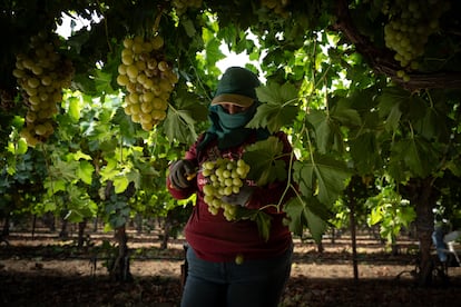 El año 2025, en imágenes El año 2025, en imágenes
