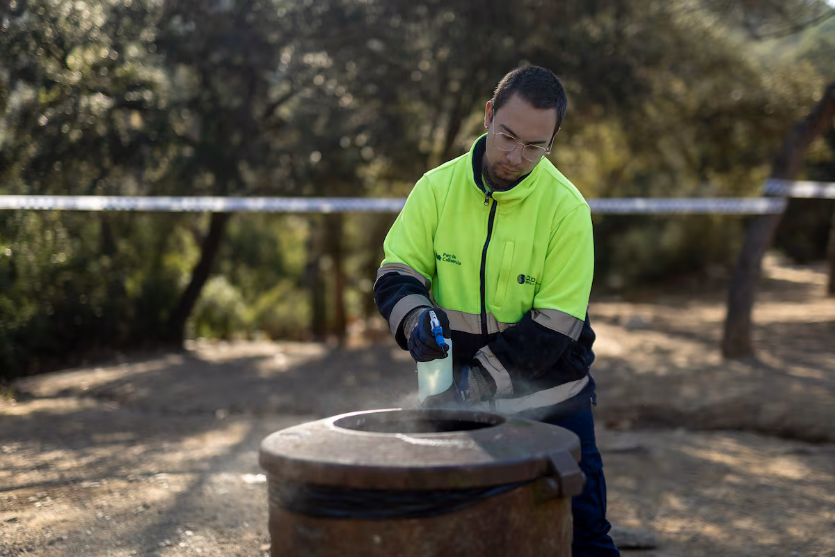 Cataluña apunta a un bocadillo con embutido contaminado como posible origen de la peste porcina EL PAÍS
