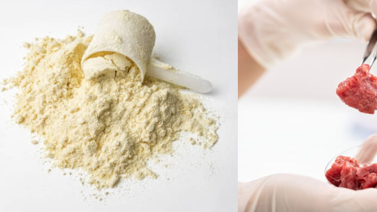 China crea proteína 1.000 veces más eficiente que la carne, sin colesterol y sin impacto ambiental de la ganadería China crea proteína 1.000 veces más eficiente que la carne, sin colesterol y sin impacto ambiental de la ganadería