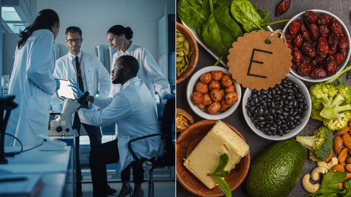 Científicos descubren un compuesto que multiplica por tres la cantidad de la vitamina E en los vegetales Científicos descubren un compuesto que multiplica por tres la cantidad de la vitamina E en los vegetales