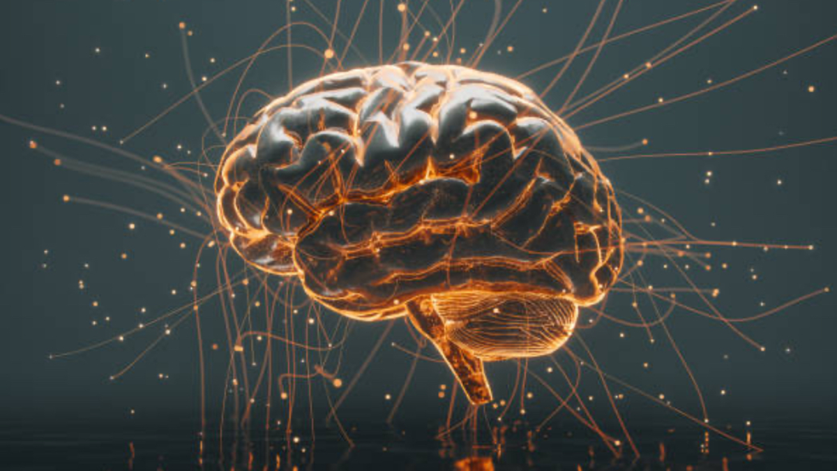 ¿Qué es el neurofeedback? La técnica de entrenamiento cerebral que ayuda a mejorar el rendimiento deportivo y se ha vuelto tendencia entre atletas Científicos encuentran el interruptor cerebral que crea los hábitos y adicciones