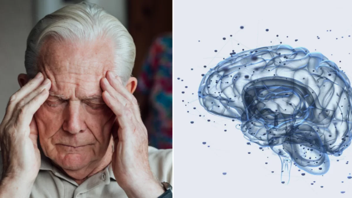 Científicos encuentran en la estimulación magnética cerebral una nueva forma de combatir la demencia Científicos encuentran en la estimulación magnética cerebral una nueva forma de combatir la demencia