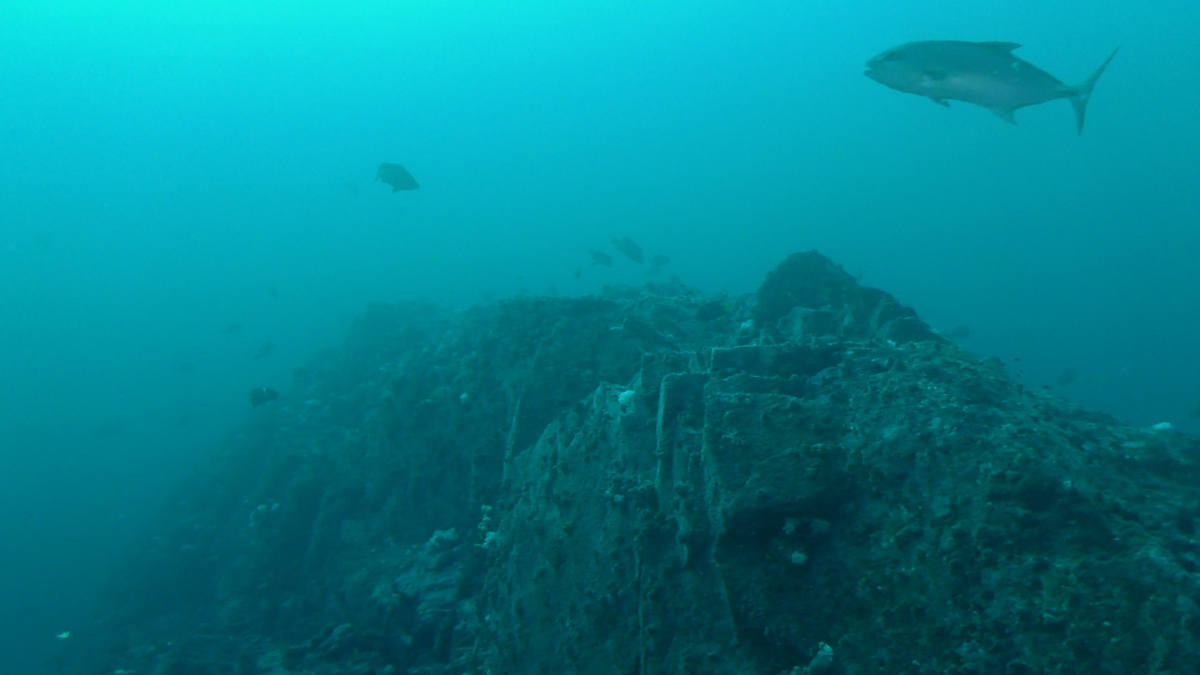 Científicos sorprendidos: se desmonta teoría sobre cómo se forman los cañones submarinos Científicos sorprendidos: se desmonta teoría sobre cómo se forman los cañones submarinos