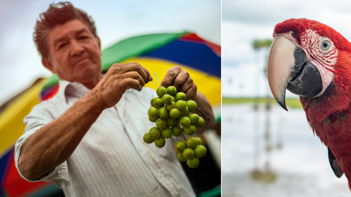 Colombia se prepara para cerrar el 2025 con más de 21,7 millones de viajeros: así avanza la apuesta por destinos competitivos Colombia se prepara para cerrar el 2025 con más de 21,7 millones de viajeros: así avanza la apuesta por destinos competitivos