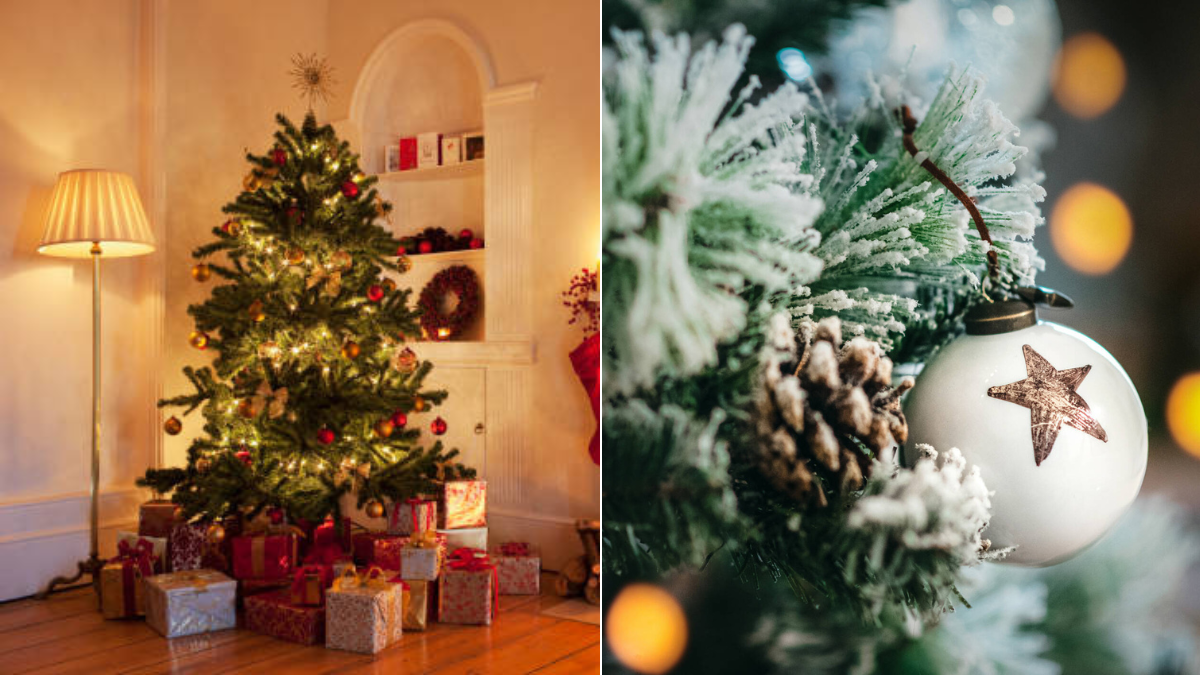 Cómo armar el árbol de Navidad para que quede perfecto: ¿primero las luces o los adornos? Cómo armar el árbol de Navidad para que quede perfecto: ¿primero las luces o los adornos?