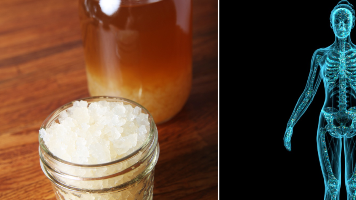 Cómo preparar kéfir de agua, el 'oro blanco' que protege su estómago y riñones: pasos para hacer esta bebida saludable Cómo preparar kéfir de agua, el 'oro blanco' que protege su estómago y riñones: pasos para hacer esta bebida saludable