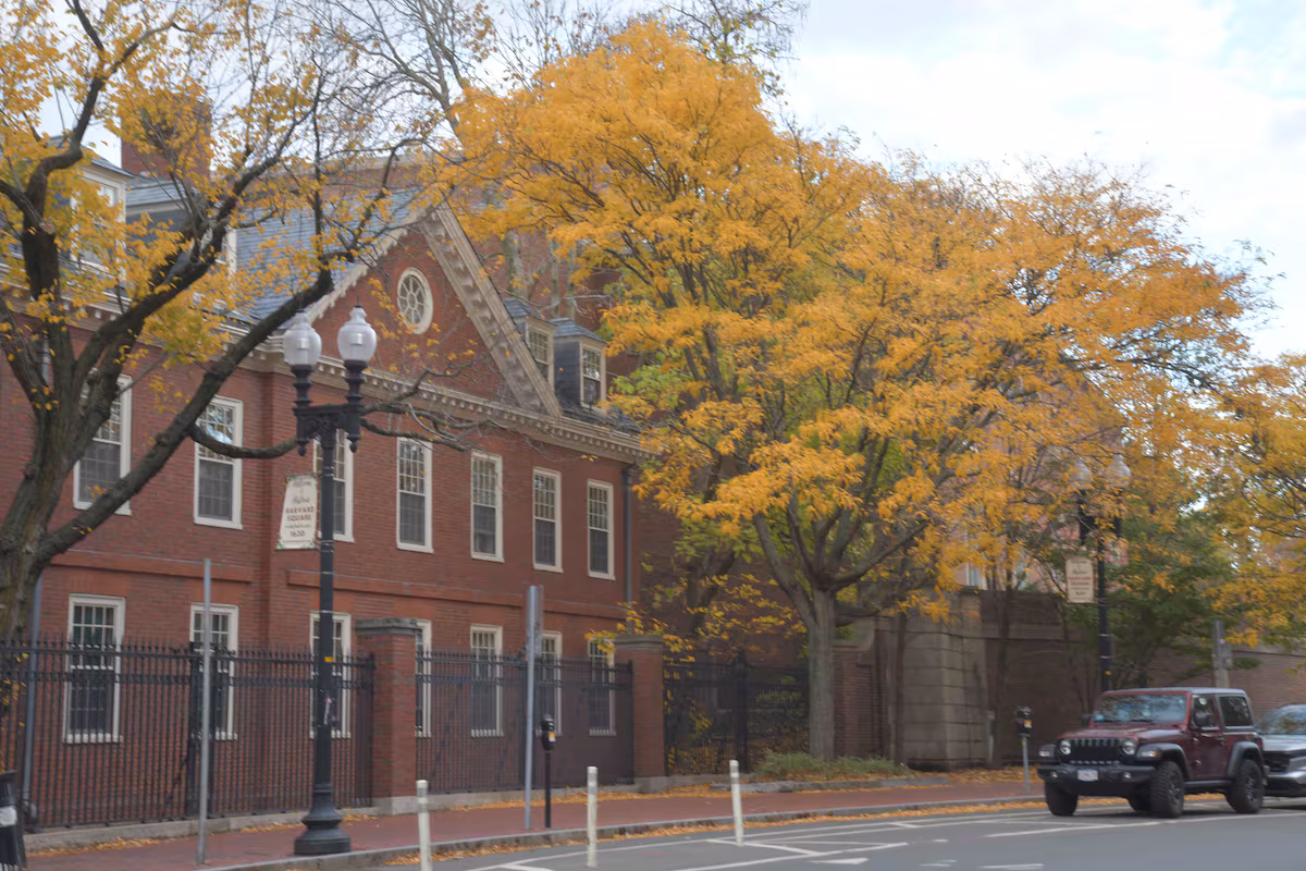 Condenado por vender restos humanos el encargado de la morgue de la facultad de Medicina de Harvard EL PAÍS