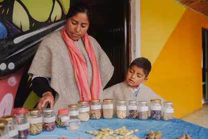 Los indígenas de Nariño que resisten a la ganadería extensiva y al cambio climático: “Queremos soberanía alimentaria” Una madre y su hijo enseñan las semillas que cultivan, en Cumbal.