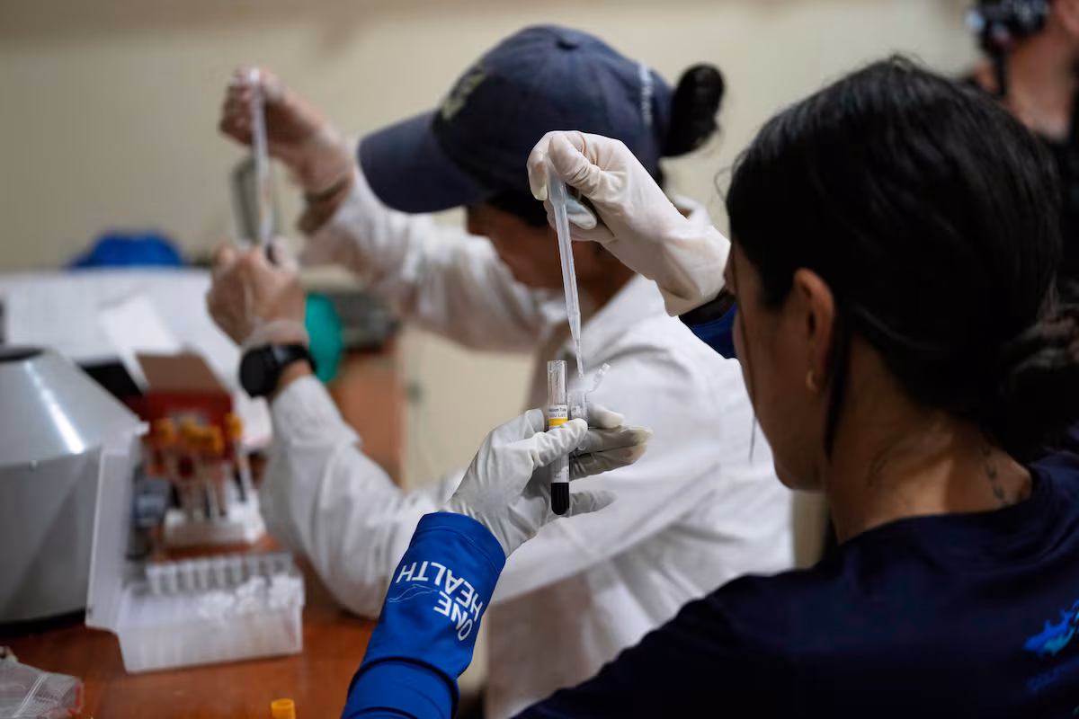 De Belém a Montevideo: los aportes de la ciencia para la sostenibilidad en Iberoamérica EL PAÍS