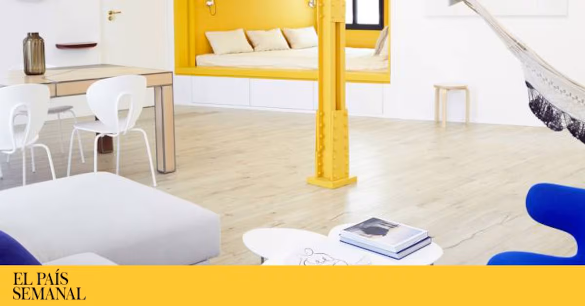 Destellos de luz y de color Destellos de luz y de color