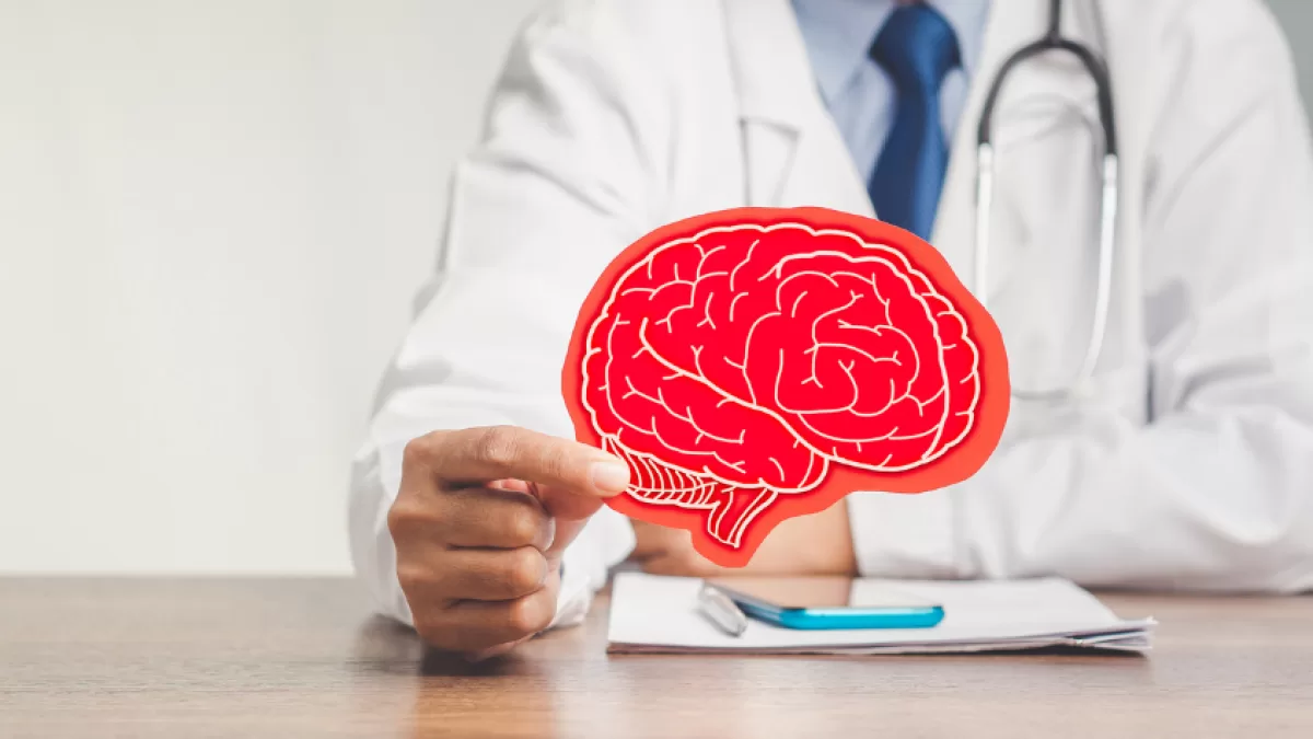 El cerebro podría revelar qué mujeres tienen más riesgo de síndrome metabólico desde edades tempranas El cerebro podría revelar qué mujeres tienen más riesgo de síndrome metabólico desde edades tempranas