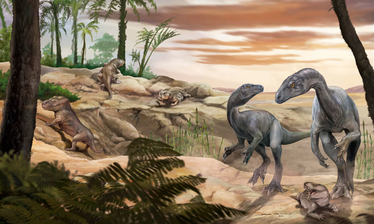 El esqueleto de dinosaurio hallado en Argentina que da claves al rompecabezas de su evolución EL PAÍS