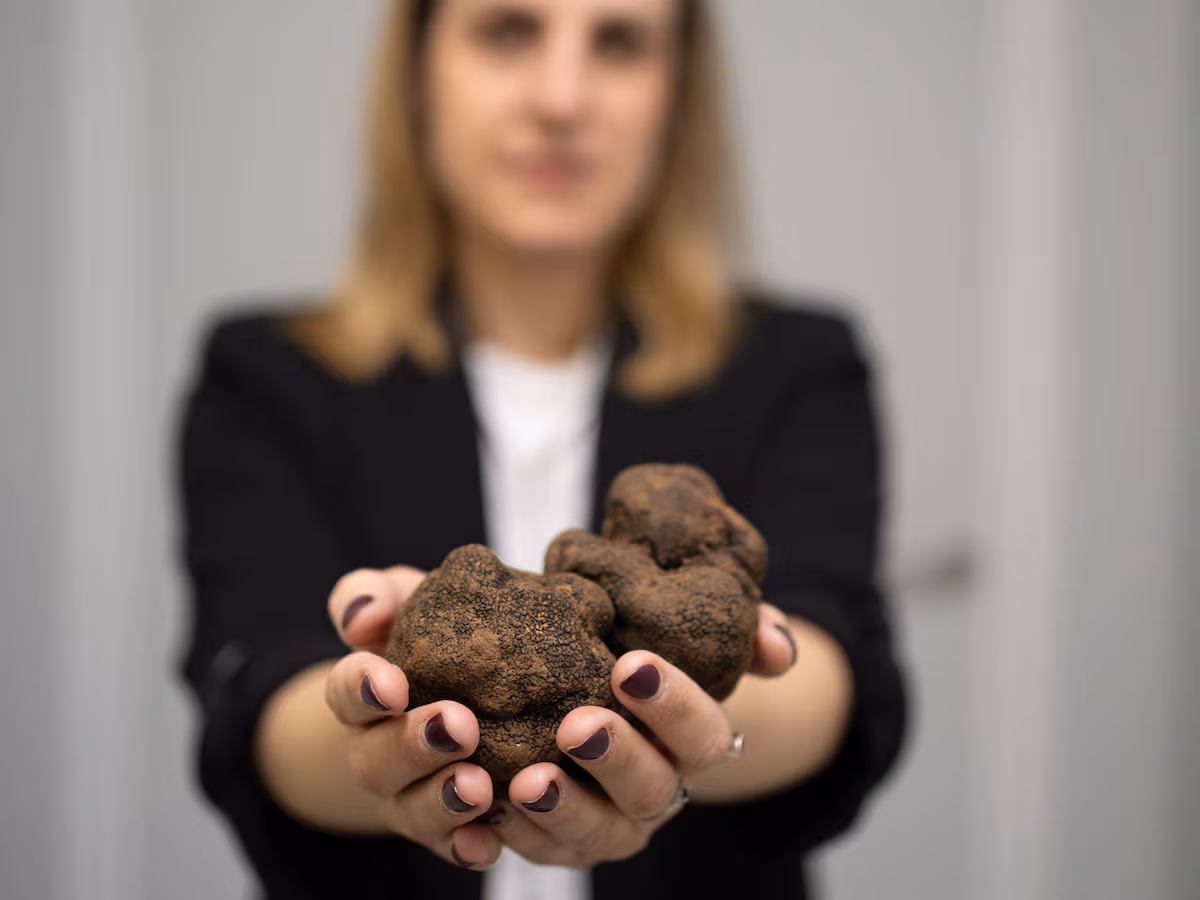 El éxito de emprender en Soria con nombre de mujer EL PAÍS