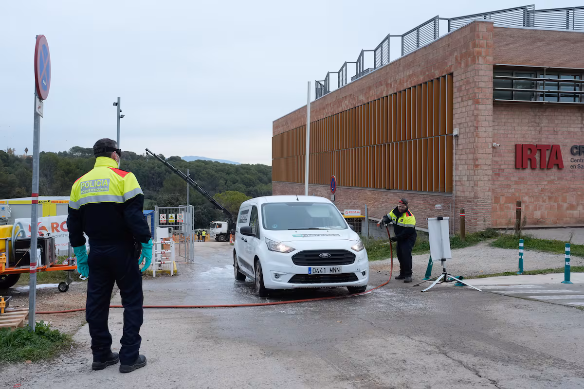 El laboratorio señalado por la presunta fuga de la peste porcina africana estaba en obras EL PAÍS