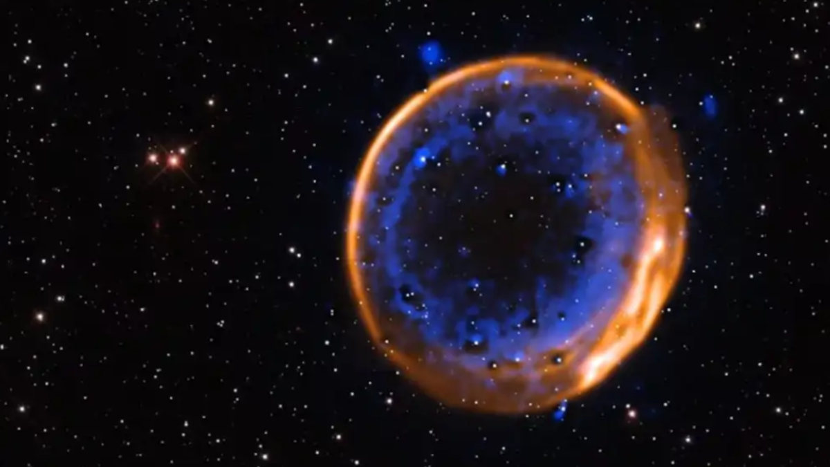 El telescopio James Webb detecta en lo profundo del espacio la que podría ser la supernova más antigua conocida del universo El telescopio James Webb detecta en lo profundo del espacio la que podría ser la supernova más antigua conocida del universo