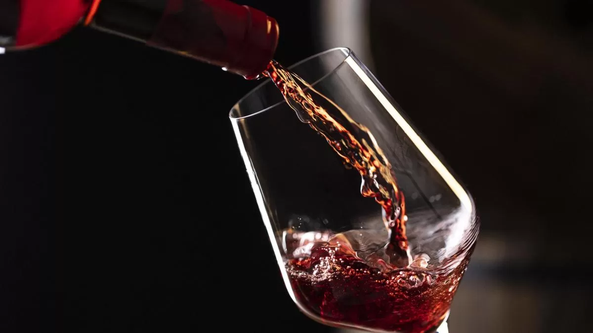 El vino se ha convertido en un gran aliado de las celebraciones de fin de año: expertos dan conejos para elegir una buena botella para compartir El vino se ha convertido en un gran aliado de las celebraciones de fin de año: expertos dan conejos para elegir una buena botella para compartir