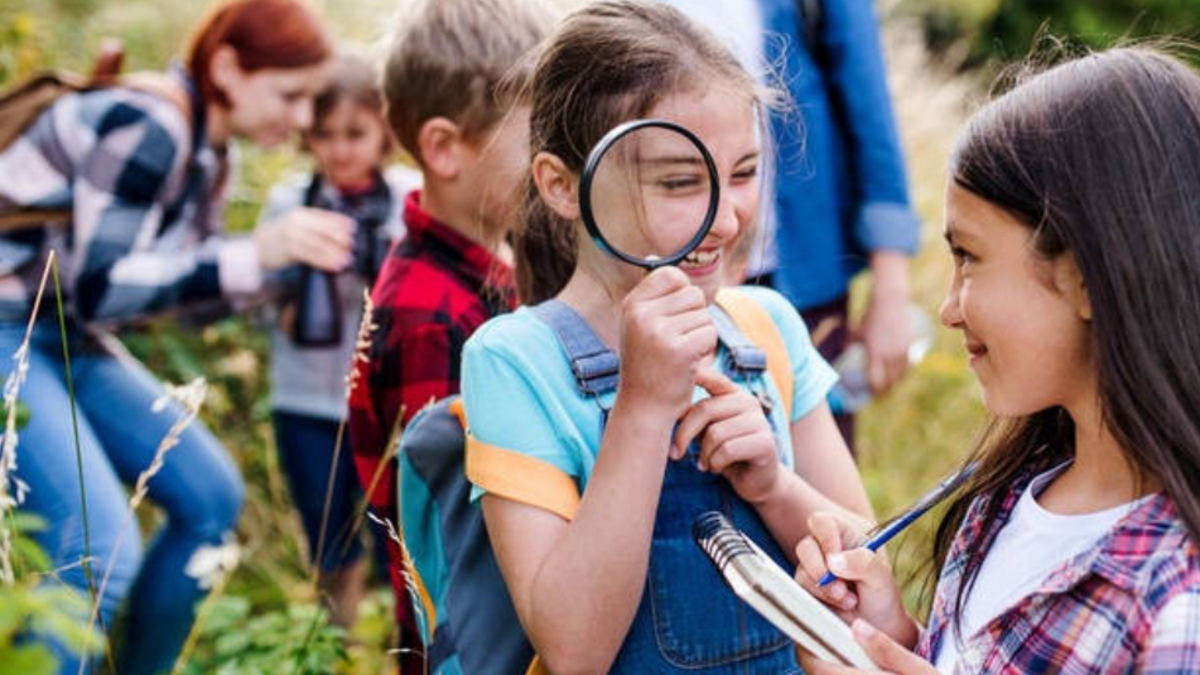 En diciembre aumentan las alergias, intoxicaciones y accidentes en niños: expertos entregan recomendaciones para prevenirlos En diciembre aumentan las alergias, intoxicaciones y accidentes en niños: expertos entregan recomendaciones para prevenirlos