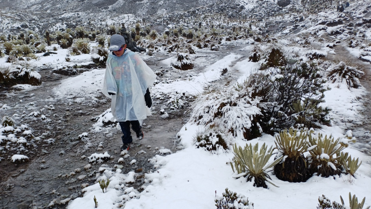 En fotos: las imágenes inéditas que dejó una nevada de 12 horas que cubrió de blanco la sierra del Cocuy En fotos: las imágenes inéditas que dejó una nevada de 12 horas que cubrió de blanco la sierra del Cocuy