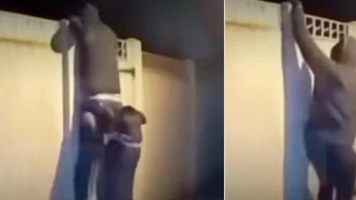 En video quedó registrado el momento en el que un perro frustró el robo de su casa En video quedó registrado el momento en el que un perro frustró el robo de su casa