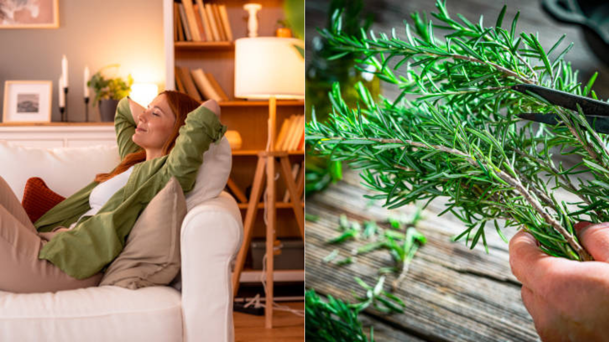 Esto significa que el romero florezca en su casa según el Feng Shui: energía positiva Esto significa que el romero florezca en su casa según el Feng Shui: energía positiva