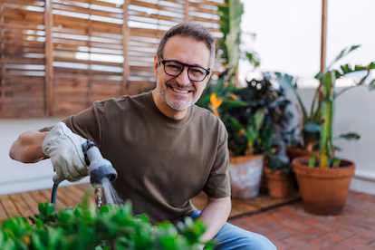 El milagroso “abono de murciélago” que revive plantas enfermas: “No podía creer lo que veía” El milagroso “abono de murciélago” que revive plantas enfermas: “No podía creer lo que veía”